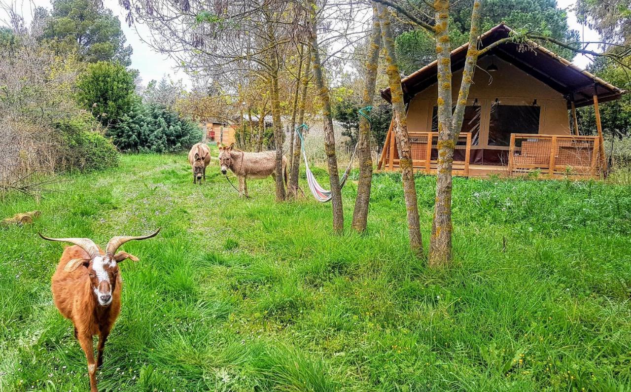 Analaya Villa Vias Kültér fotó